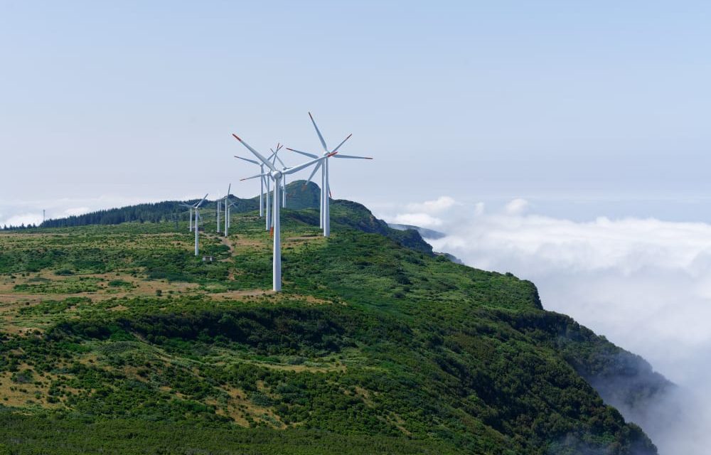 Wind energy could generate 3.3 million jobs worldwide within five years