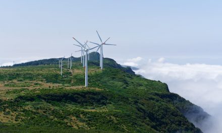 Wind energy could generate 3.3 million jobs worldwide within five years