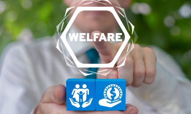 Exploring the world’s best welfare system