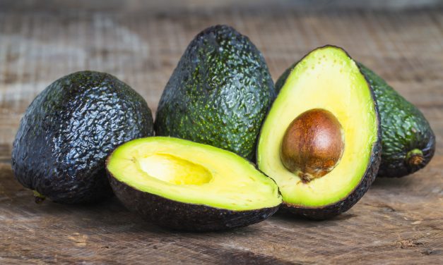 Why the US banning avocados could have a devastating effect on 300,000 jobs in Mexico