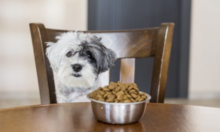 What it’s like to earn $34,000 a year tasting dog food